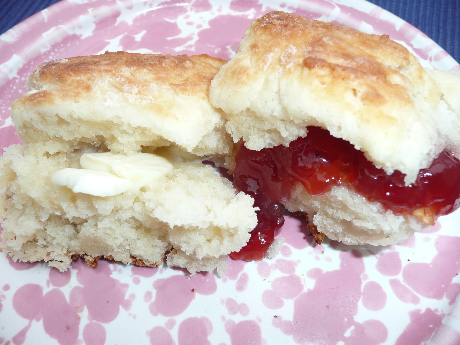 Everyday Dutch Oven Touch of Grace Biscuits