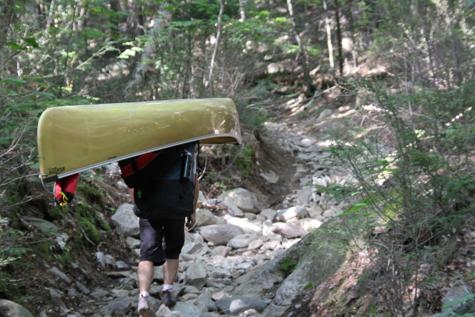 Fun things to do with kids Algonquin Park