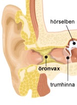 revaxör vid öroninflammation revaxör vid öroninflammation