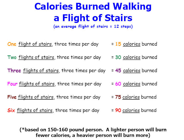 Calories Burned Running Stairs Per Flight hello pretty weight loss part 4 how does our Calories Burned Running Stairs Per Flight hello pretty weight loss part 4 how does our