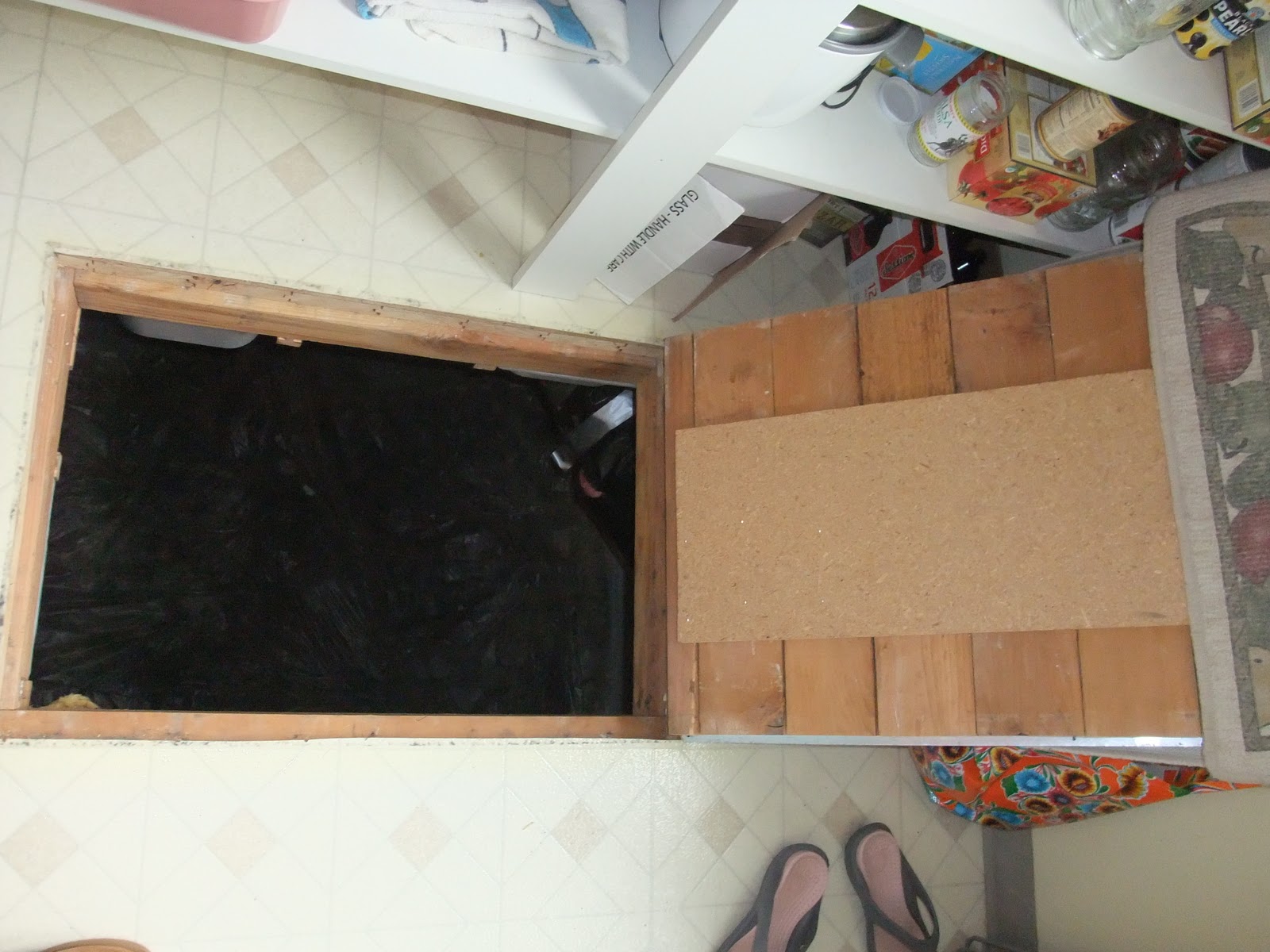 Things I get to do today Root Cellar Revisited