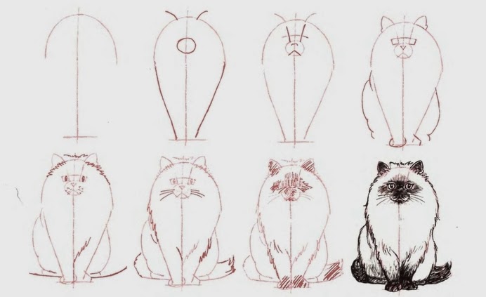 Como desenhar um Gato Fácil passo a passo para iniciantes