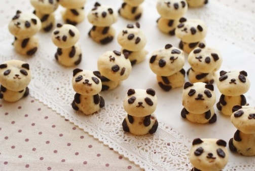 Fikir Güncesi Panda Kurabiye