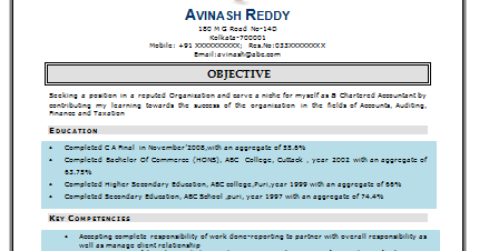fresher accountant resume sample