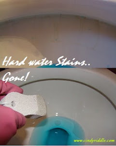Remove Stains in the Toilet