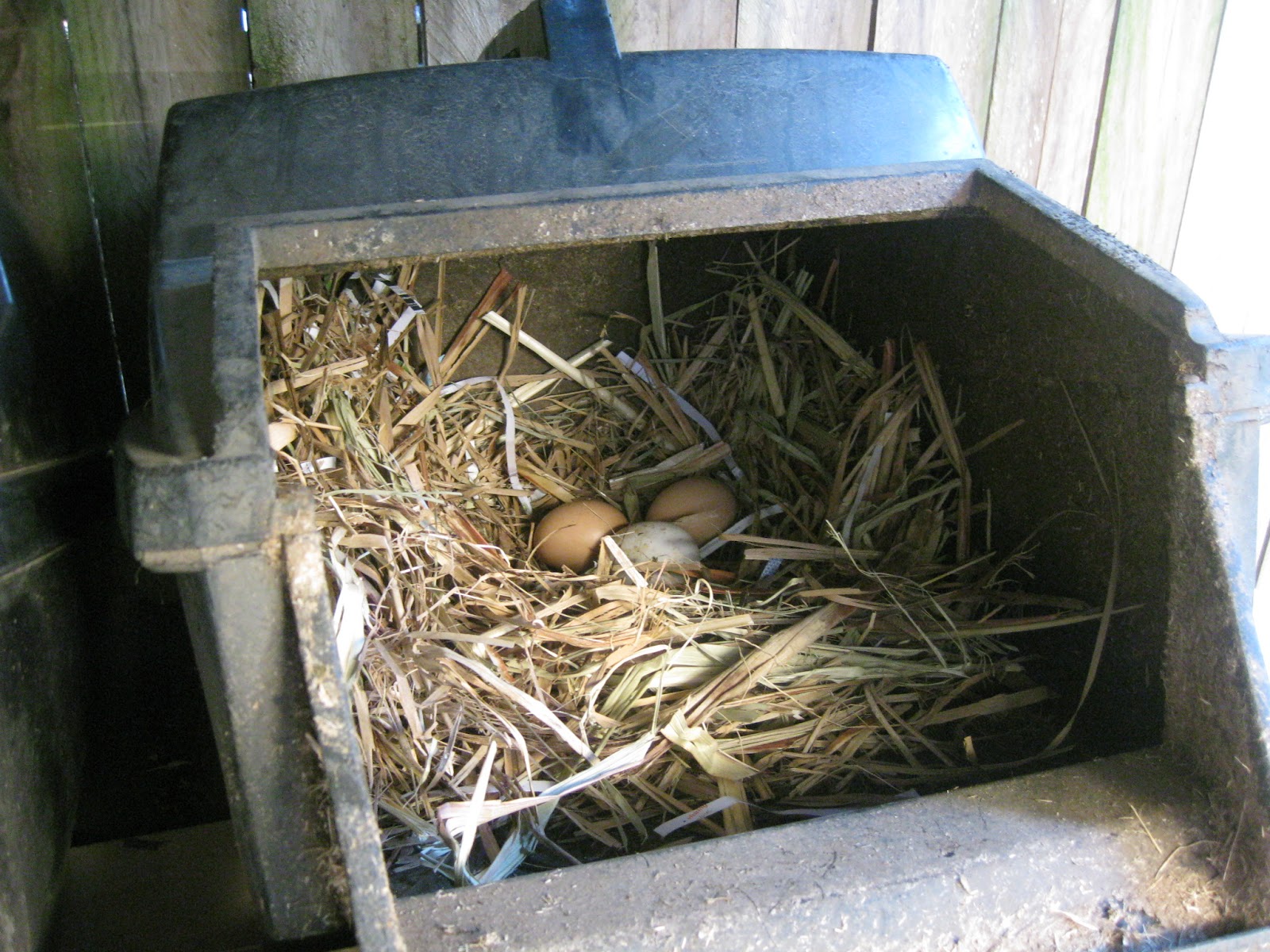 Grass catcher nesting boxes for my chickens