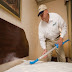 How To Get Rid Of Bed Bugs | Bed Bugs Treatment