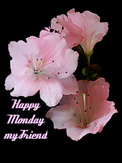 Happy Monday Sms, Wallpapers, Quotes, MMS, Wishes, Images ~ Hindi Sms