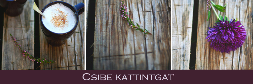 Csibe kattintgat