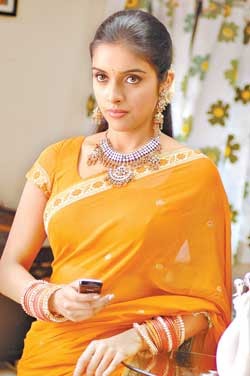 actress asin biodata indian film actress profiles biodata actress asin hot in actress asin biodata indian film actress profiles biodata actress asin hot in
