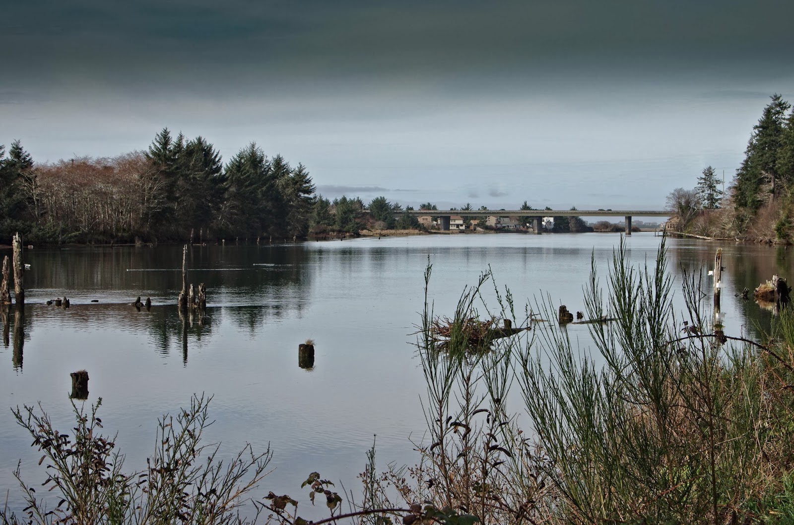 Thom Zehrfeld Photography Siletz River