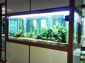 Aquarium Business