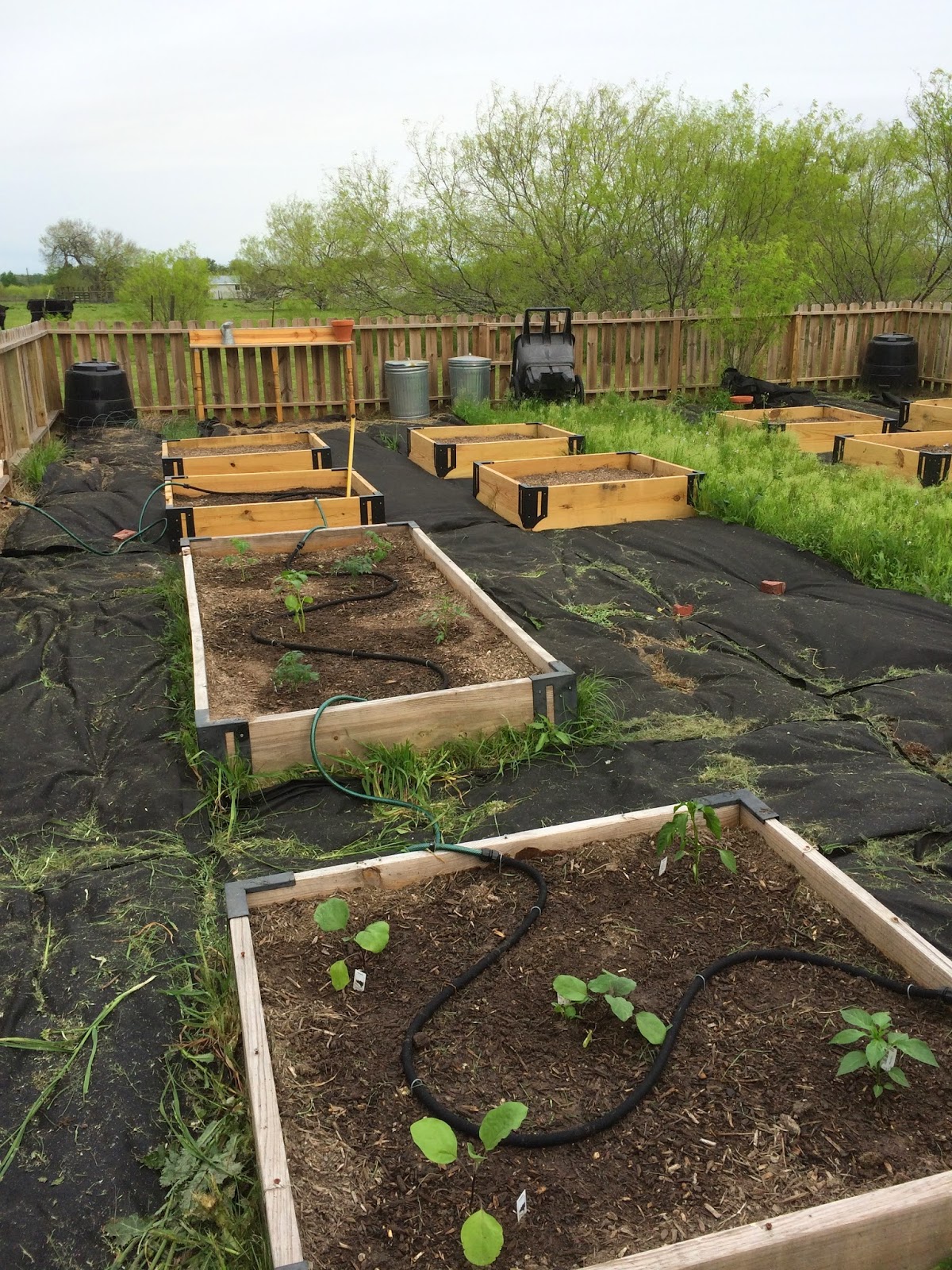 Two Men and a Little Farm RAISED BED MULCH IS DONE