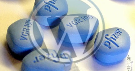 4 Ways the Pharma Hack Can Ruin Your WordPress Website