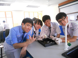 Biology class which I dreaded the most back then, but am missing it like hell now.