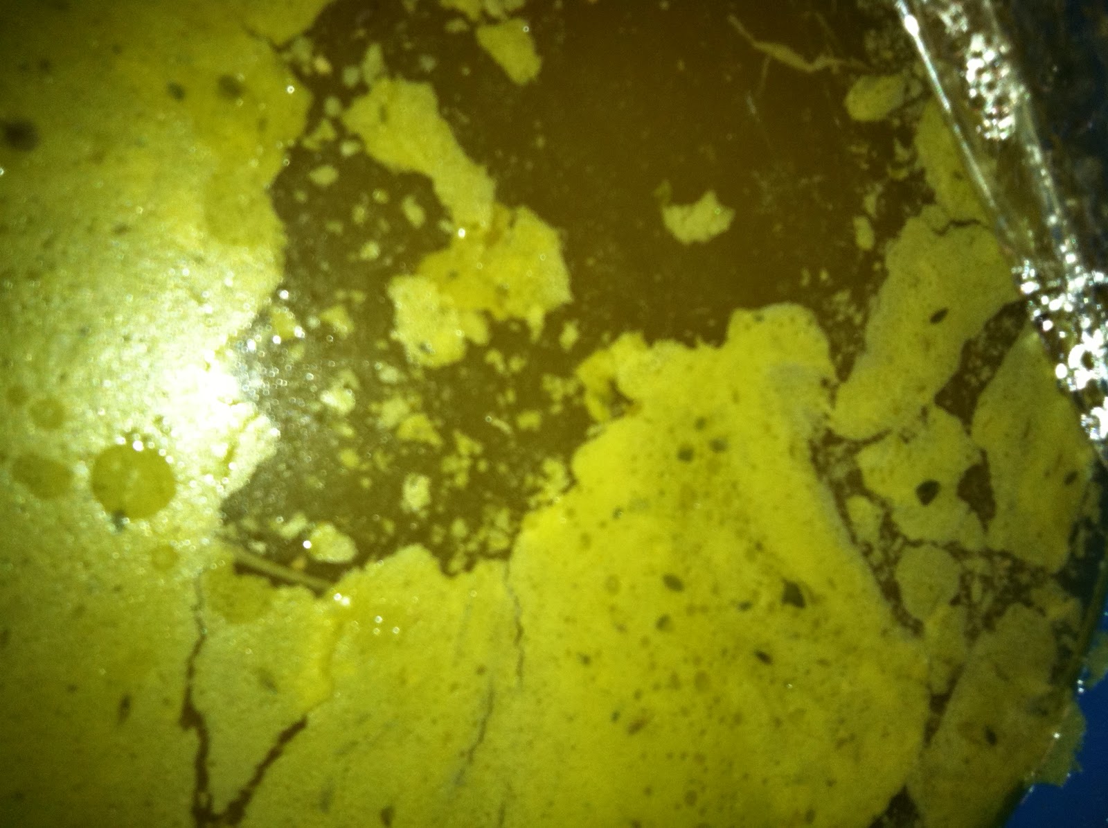 The Curried Cook Rich Dark Chicken Stock