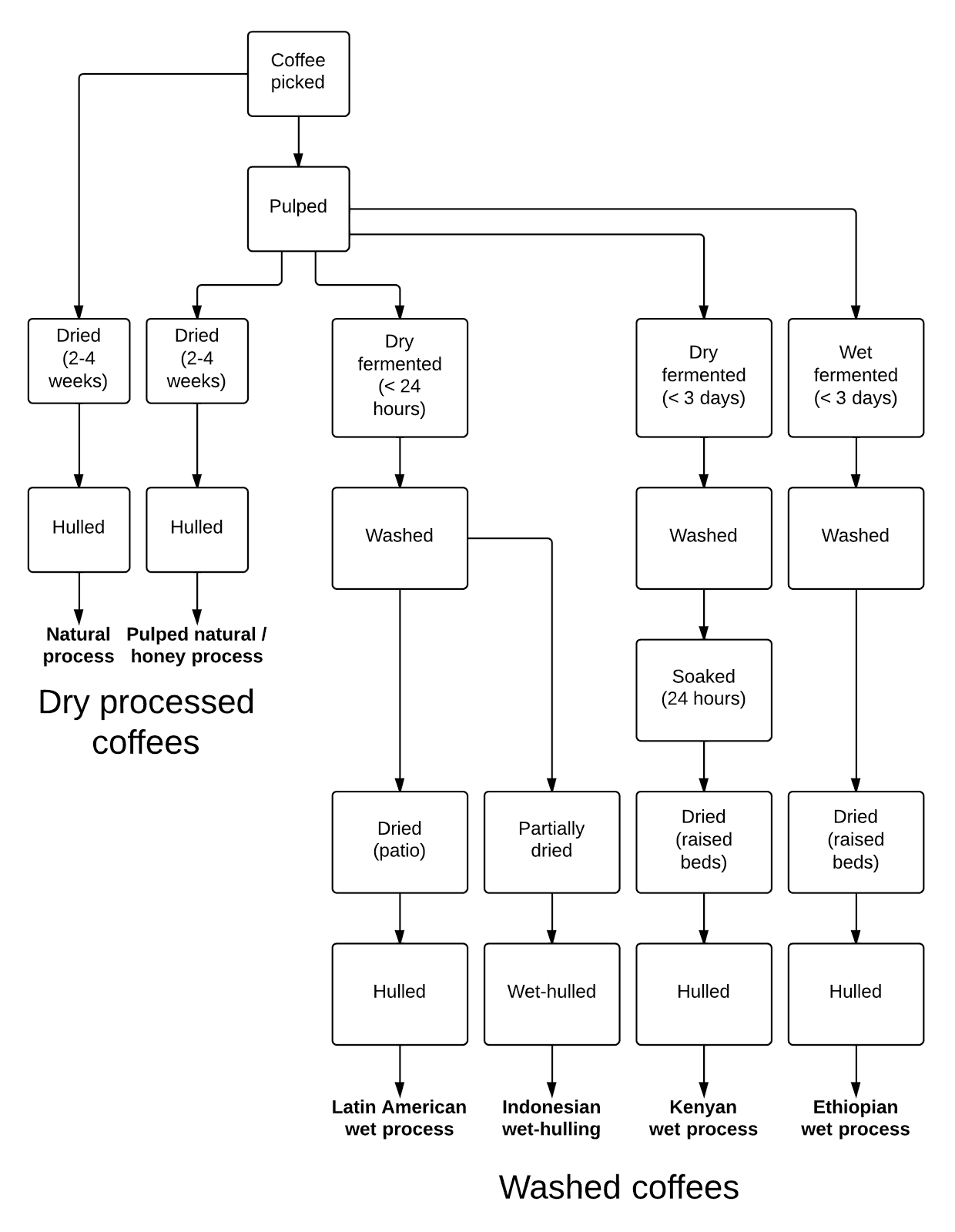 Natural Process Vs Washed Coffee Natural Process Vs Washed Coffee