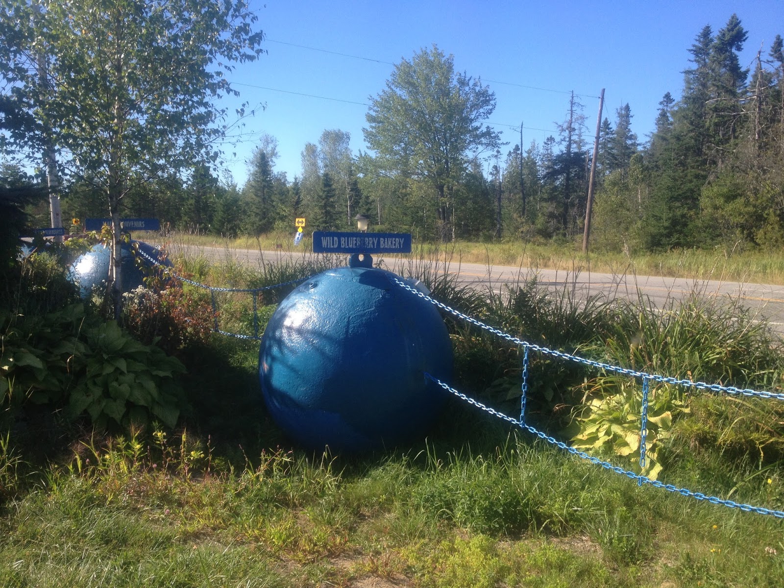 travels Columbia Falls, Maine