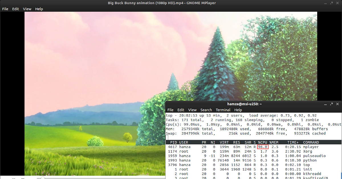 mplayer vaapi mplayer vaapi