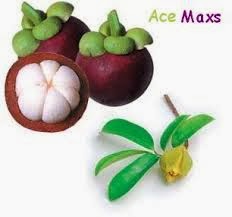 MULTIKHASIAT KULIT BUAH MANGGIS dlm HERBAL ACE MAXS KHASIAT KULIT BUAH MANGGIS dlm HERBAL ACE MAXS