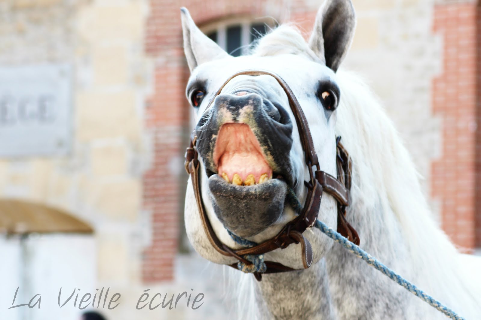 Un Bel sorriso per favore....