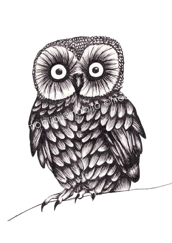 Owl Ink