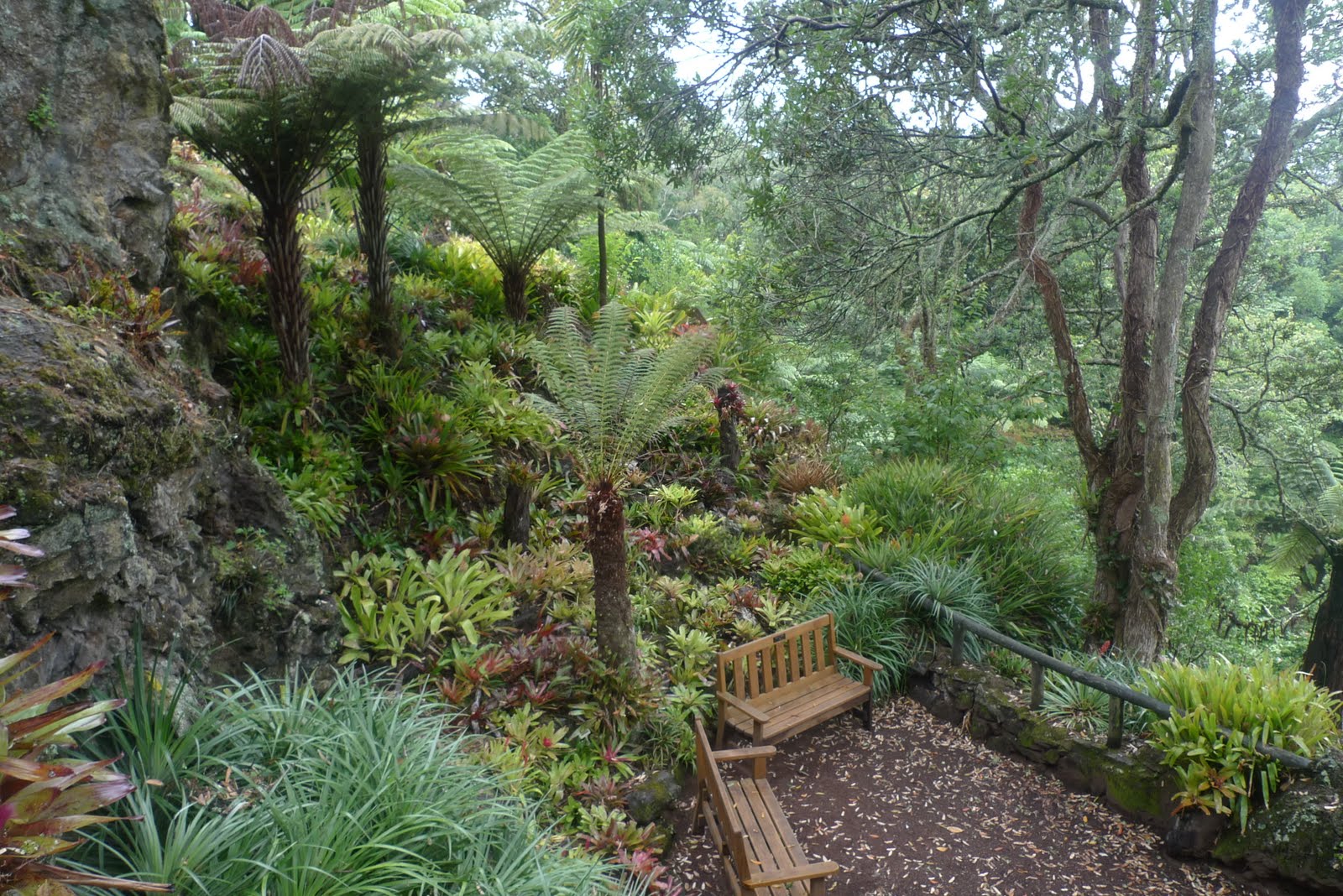 A Yorkshire Garden Designer A NEW ZEALAND GARDEN