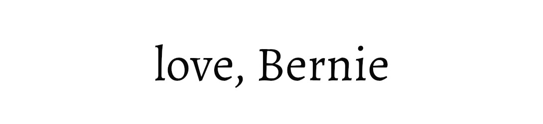 love Bernie