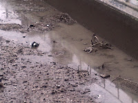 Carcasses rouillées multiples dans le Canal Carcasses rouillées multiples dans le Canal
