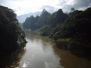 Mahaweli river, the largest perinial river of Sri Lanka flowing along the boundary of Peradeniya Bo