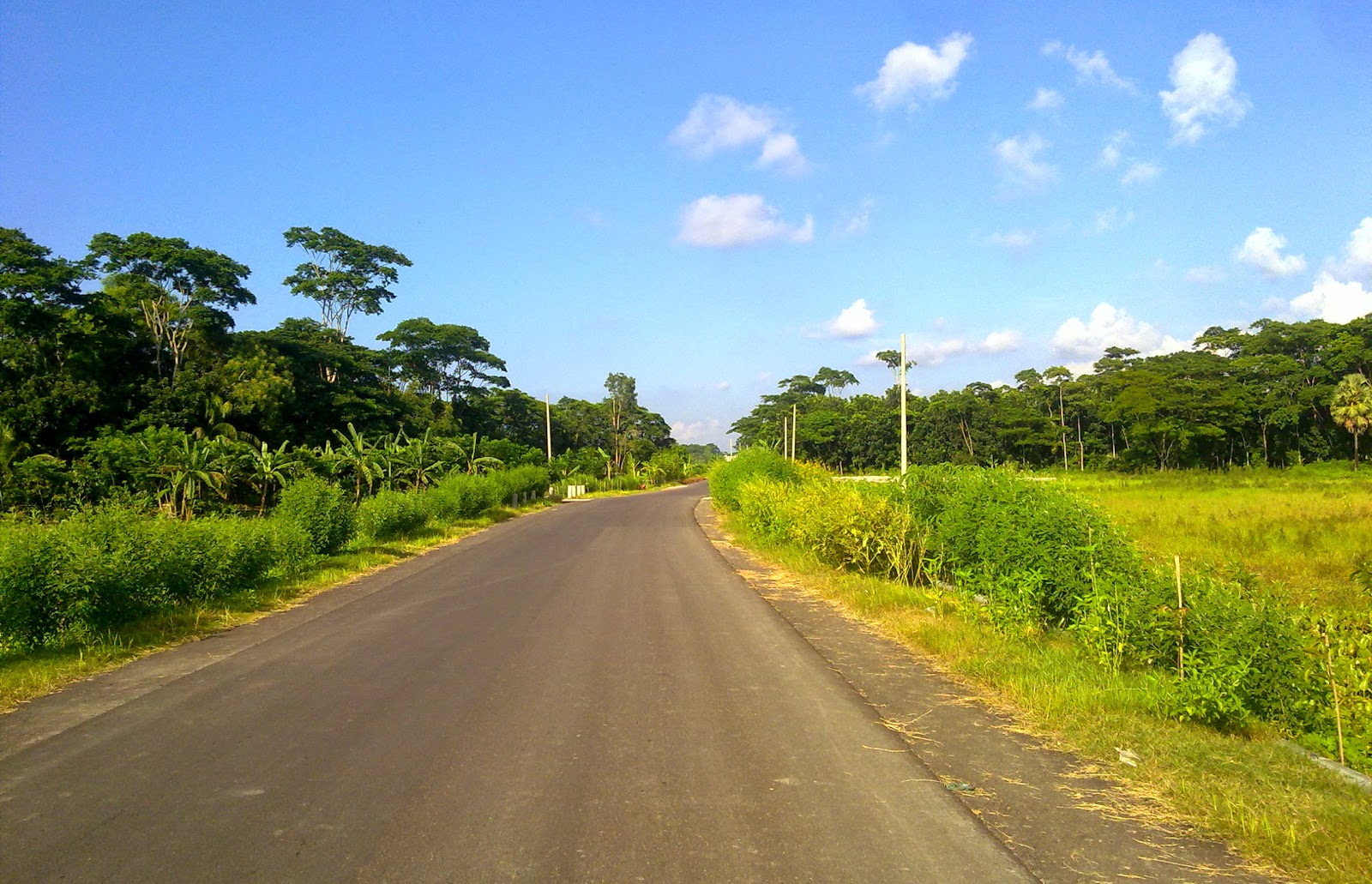pic of Bangladesh pic of Bangladesh