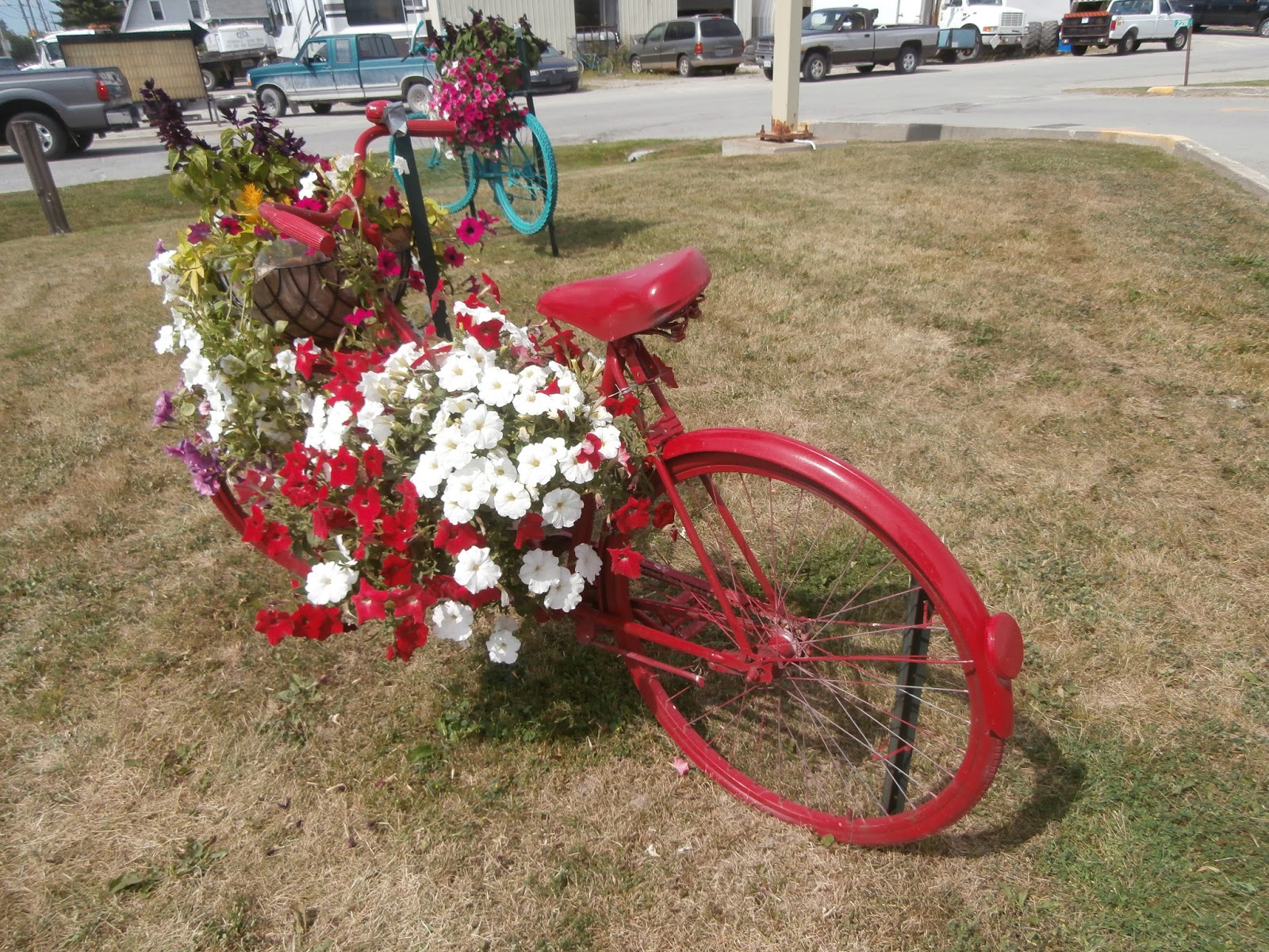 blue bikes in brechin