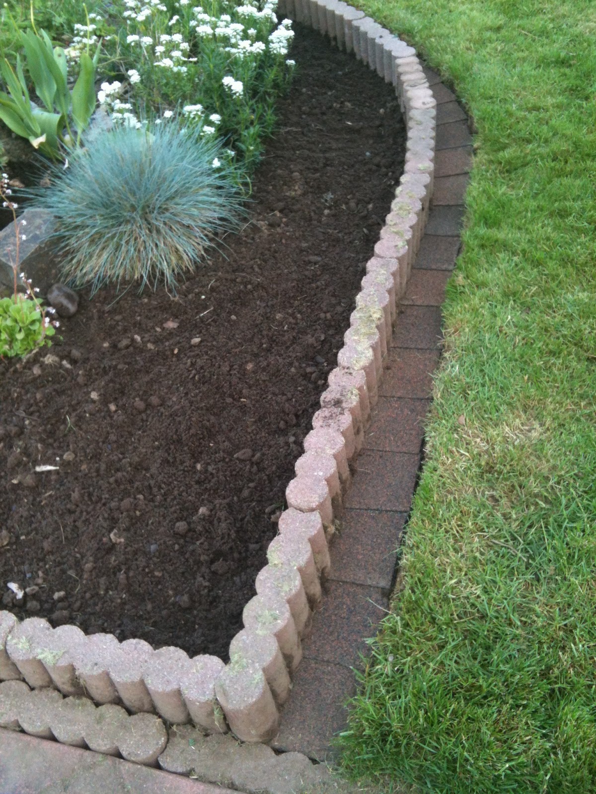 In The Garden with Claire: 3-tab shingles in the garden!!!