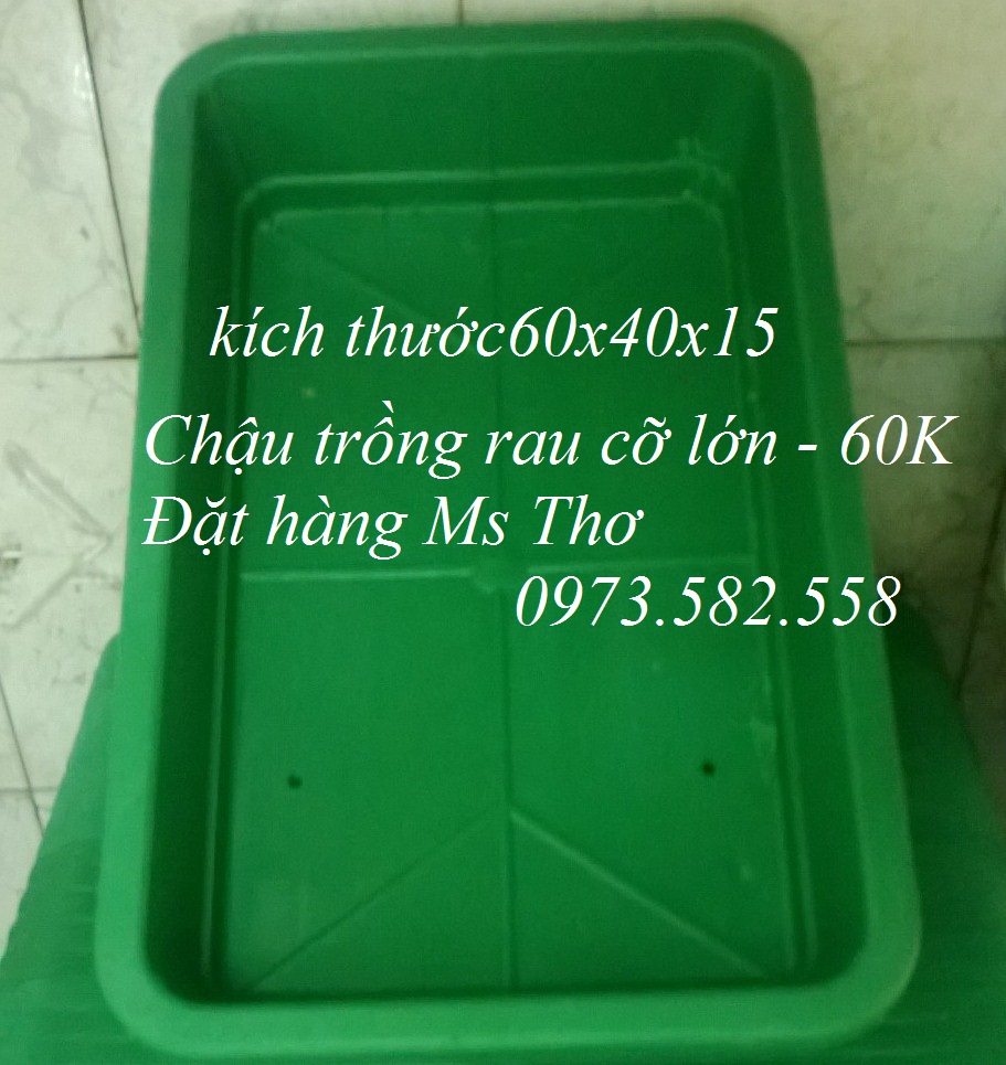 Chậu nhựa hình chữ nhật cỡ lớn giá 60.000đ