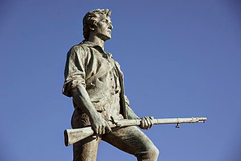 nullify federal gun laws