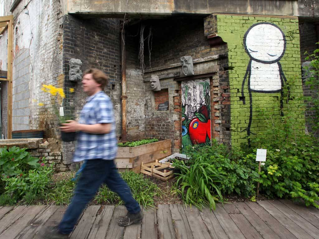 OPEN Dalston Dalston Flower Show it's blooming marvellous!