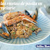 GRATIS RECETARIO GALLINA BLANCA