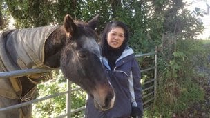 New York woman spends $25,000 flying horses to Donegal for retirement New York woman spends $25,000 flying horses to Donegal for retirement
