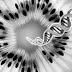 El cambio genético, paso del dna al gna, evolución planetaria, el nuevo antrophos