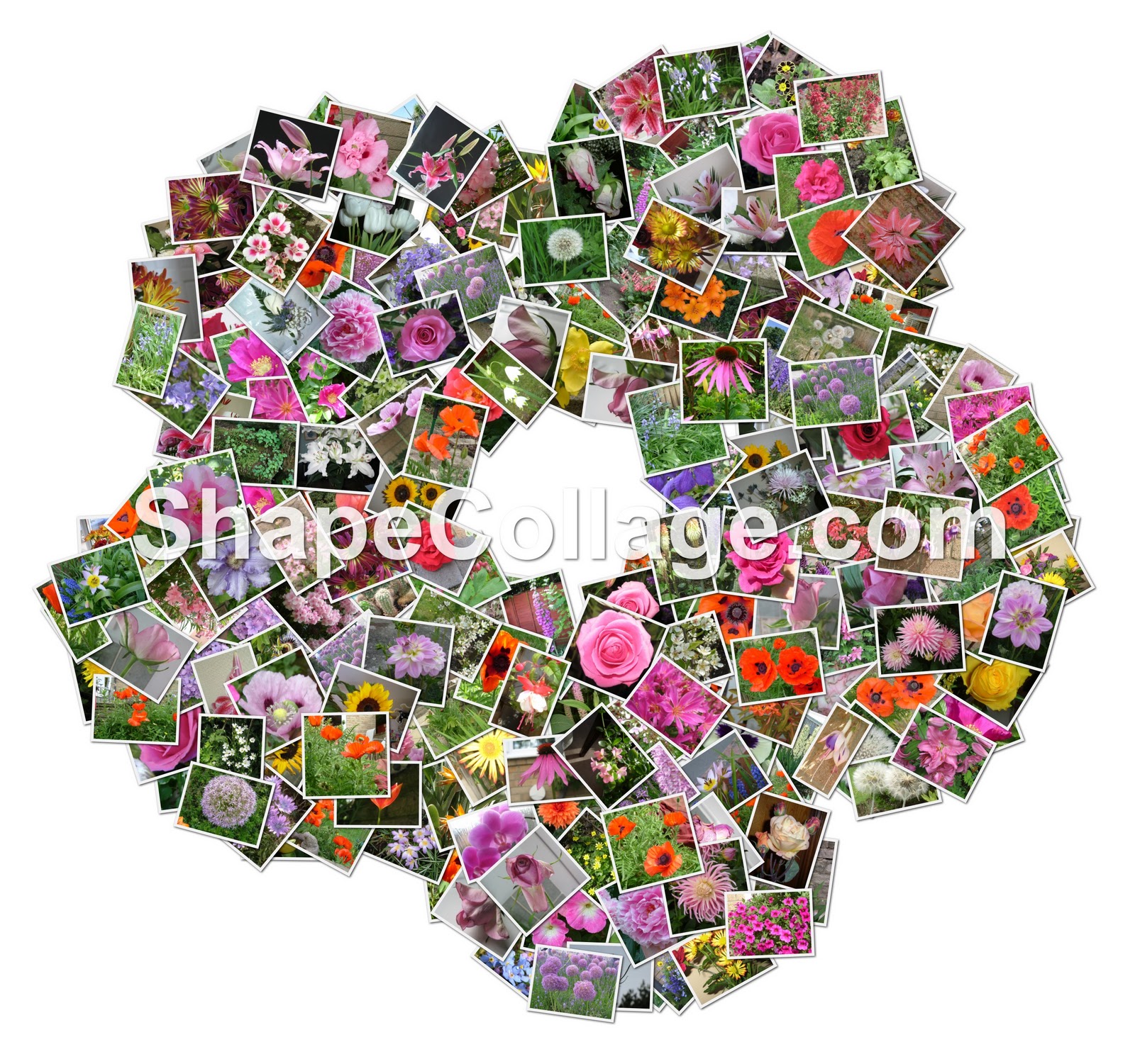 different shape collage print on tshirt different shape collage print on tshirt