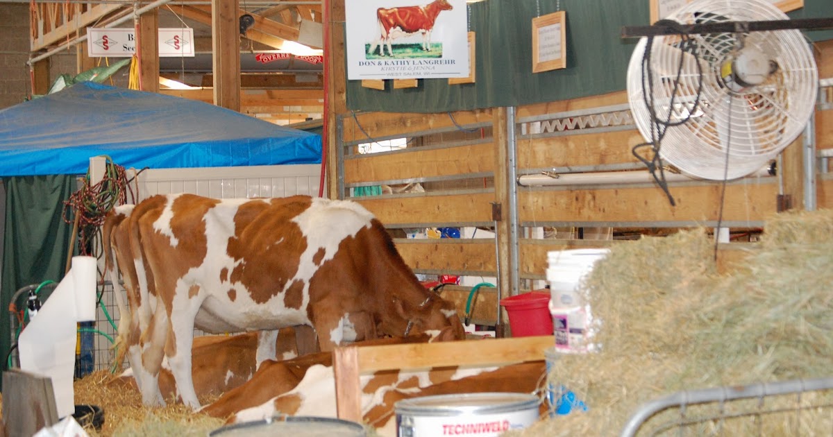 NEWS Scenes from around World Dairy Expo