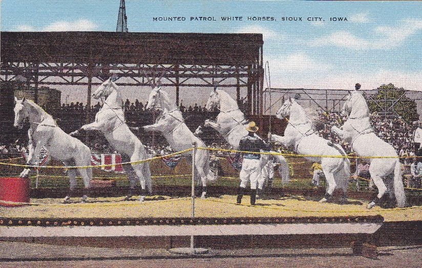 The Circus "NO SPIN ZONE" The Famed Sioux City Shrine White Horse