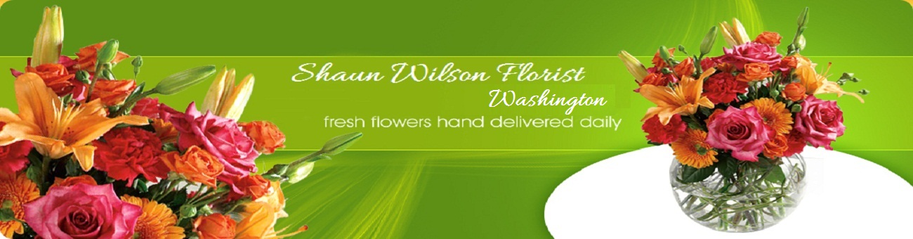 Shaun Wilson Florist in Washington