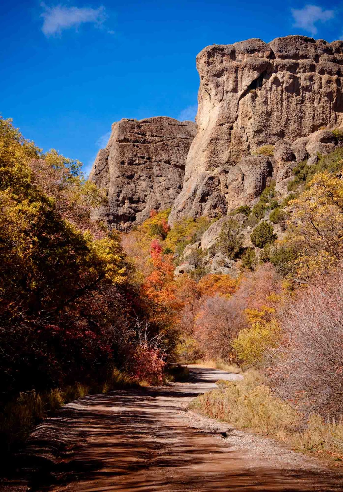 Catherine et les fées Rock climbing in Maple Canyon, Utah