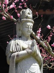 DEUSA KUAN YIN (CLIQUE NA IMAGEM )