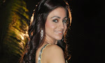 Aksha Pardasany latest hot photos-thumbnail