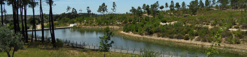 Lago no Parque São Lourenço