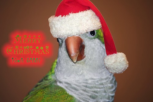 Merry Christmas Facebook Status, Facebook Profile Pictures and Cover photos