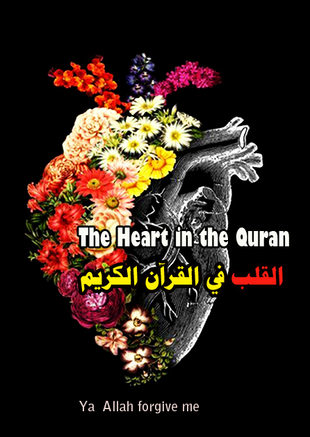 Heart in Quran