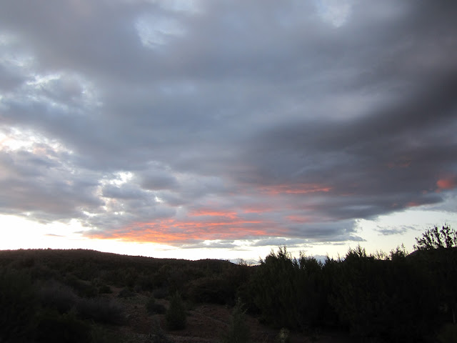 IMG_3905.JPG